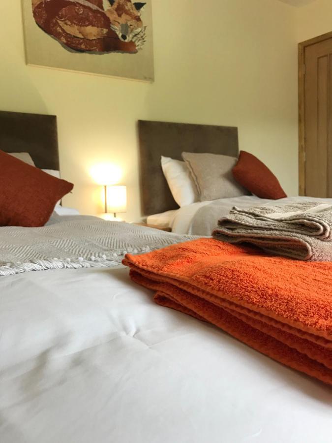 Moelfre B&B Machynlleth Esterno foto